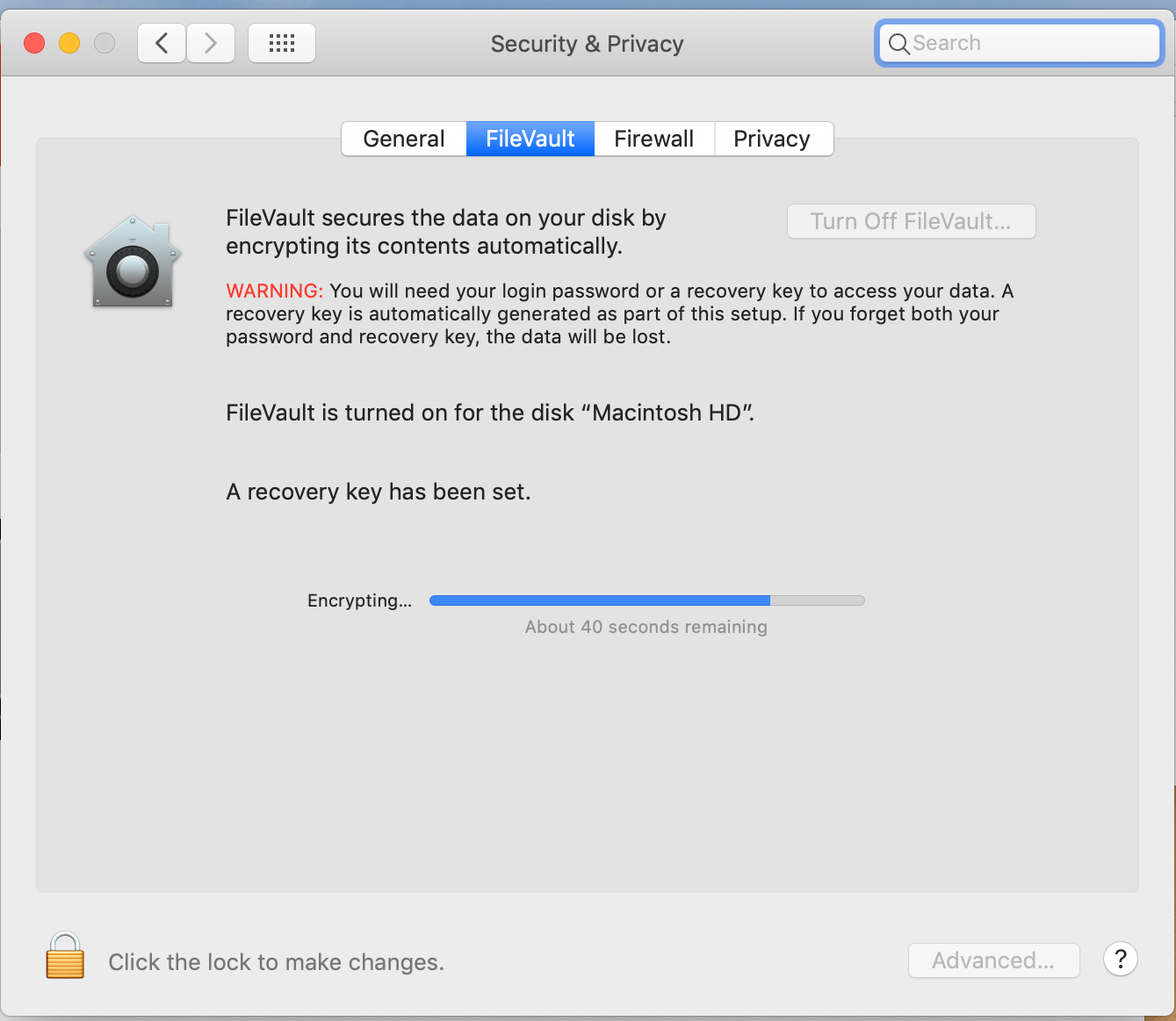 FileVault encryption in progress